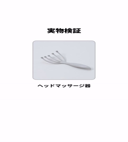 実物検証