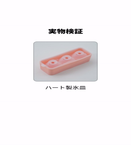 実物検証