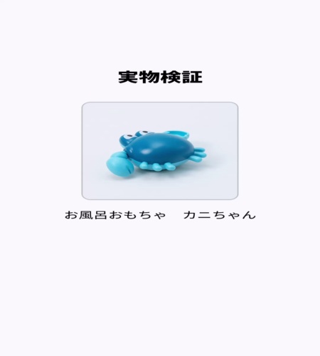 実物検証