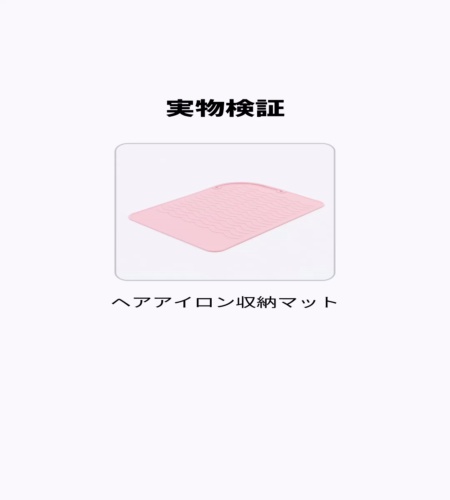 実物検証