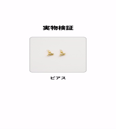 実物検証