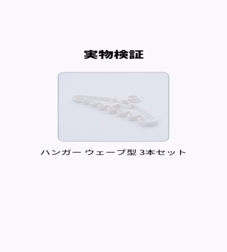 実物検証