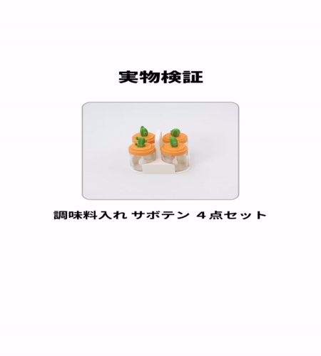 実物検証