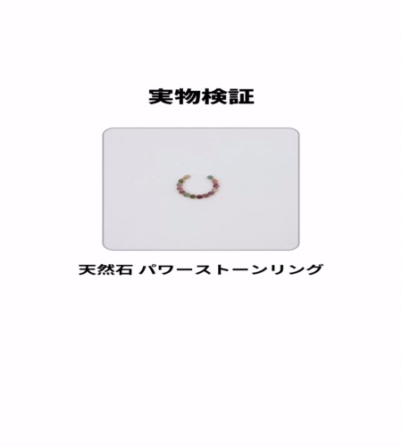 実物検証