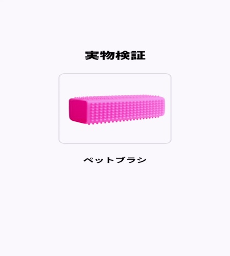 実物検証