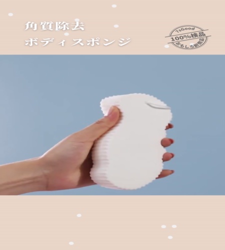 紹介動画