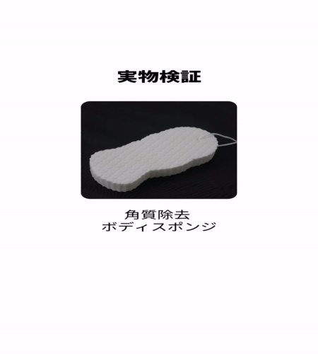実物検証