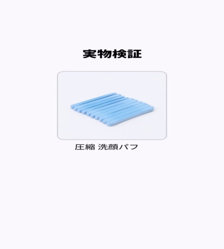 実物検証