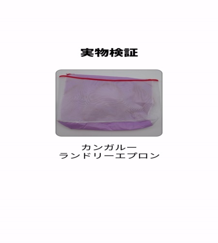 実物検証