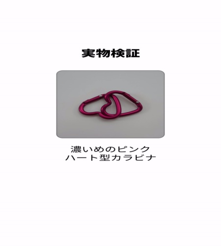 実物検証