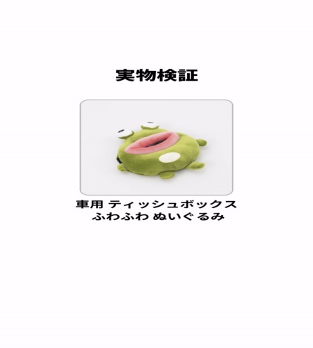 実物検証