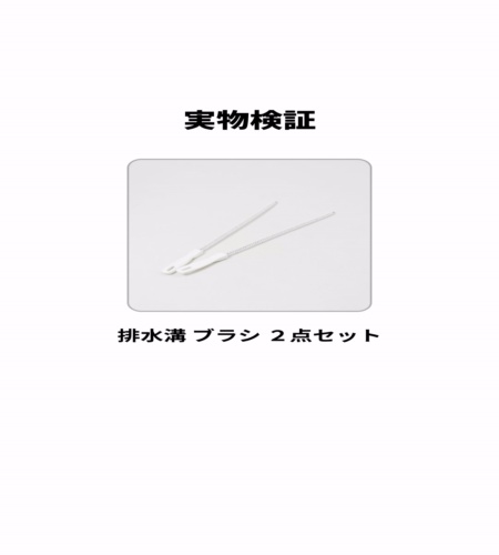 実物検証