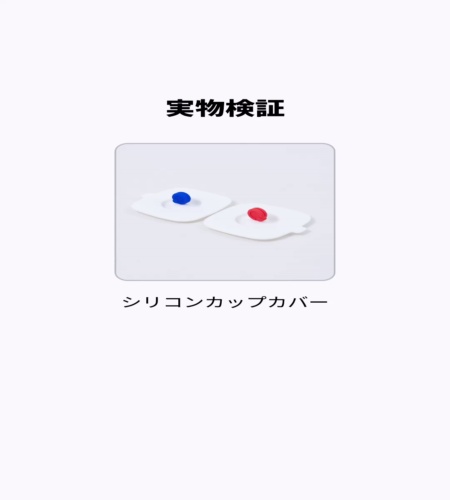 実物検証