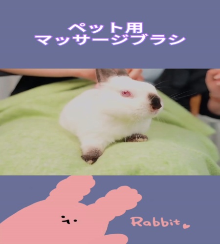 紹介動画