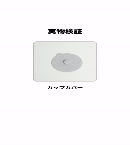 実物検証
