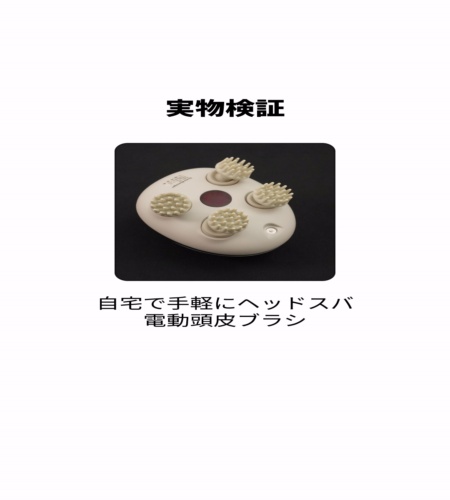 実物検証