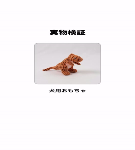 実物検証