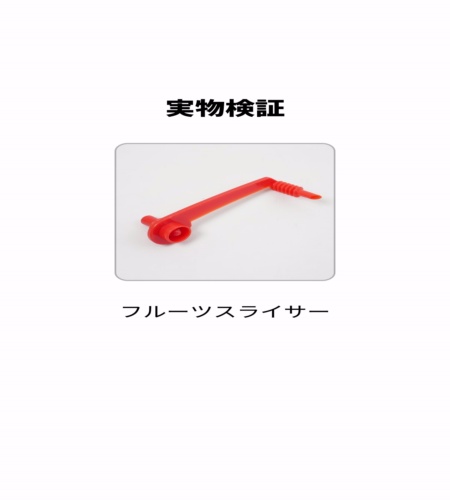 実物検証