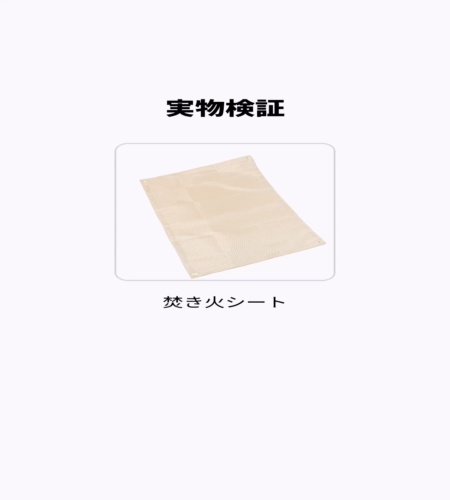 実物検証