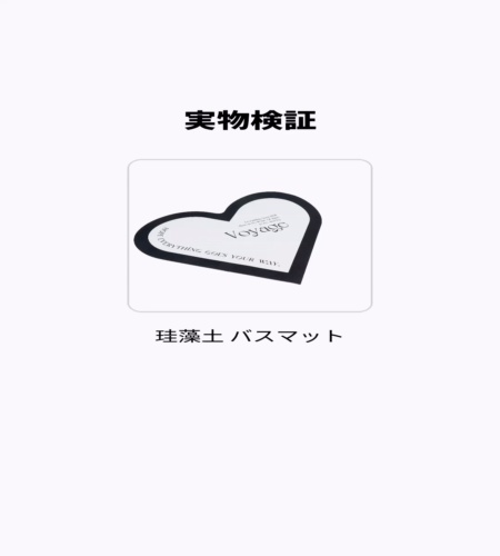 実物検証