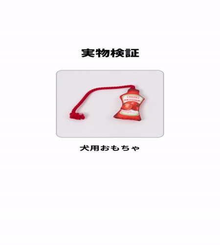 実物検証
