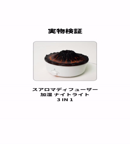 実物検証