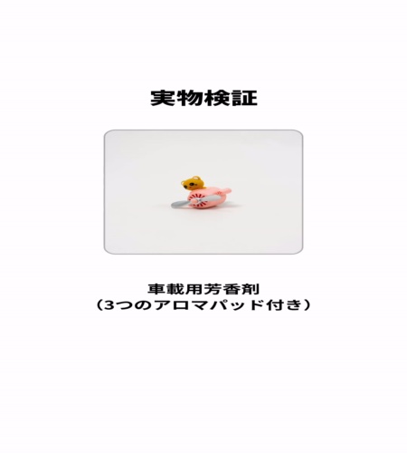実物検証