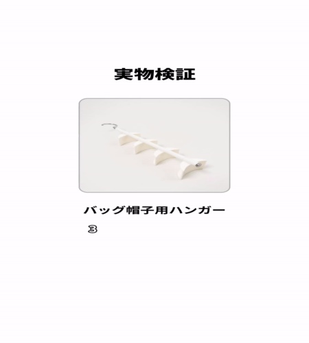 実物検証