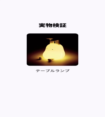 実物検証