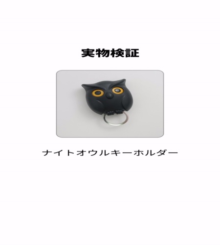 実物検証