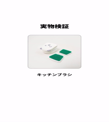 実物検証