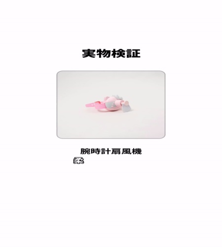 実物検証