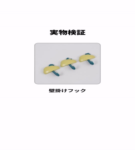 実物検証