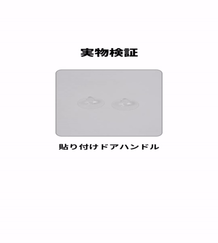 実物検証