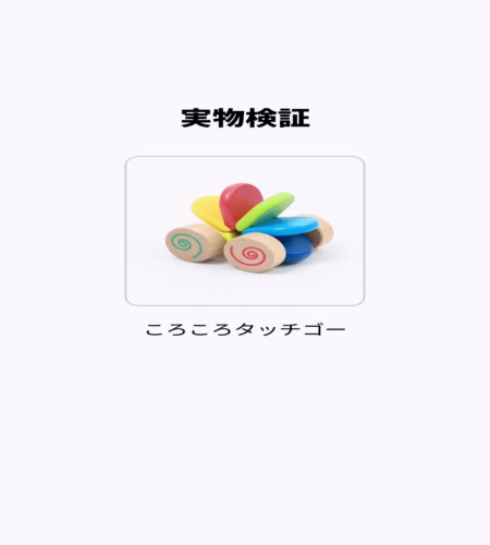 実物検証