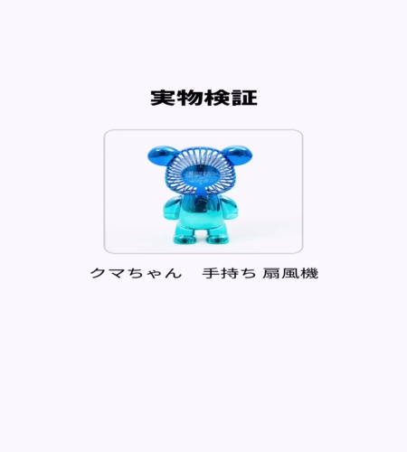 実物検証