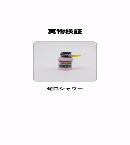 実物検証