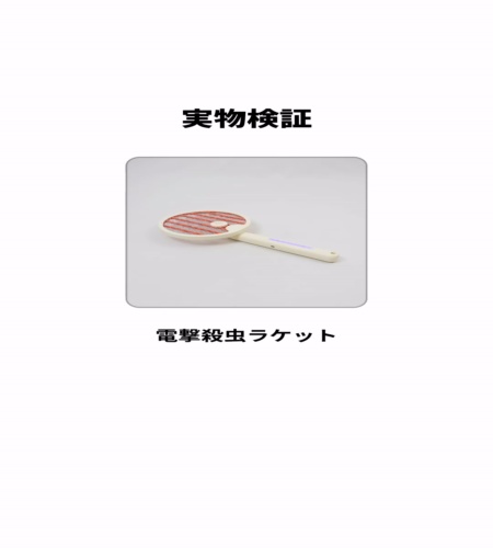 実物検証