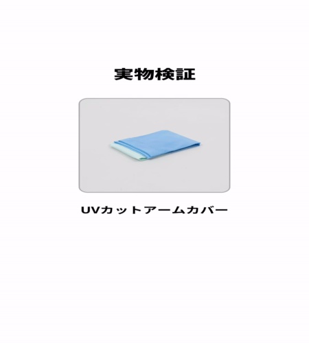 実物検証