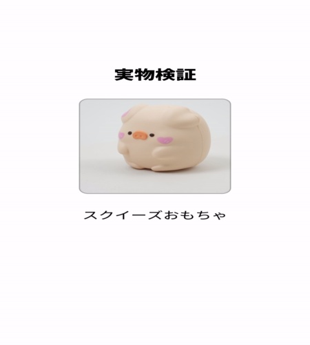 実物検証
