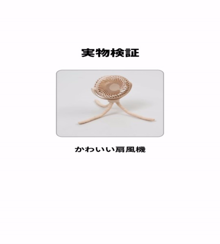 実物検証