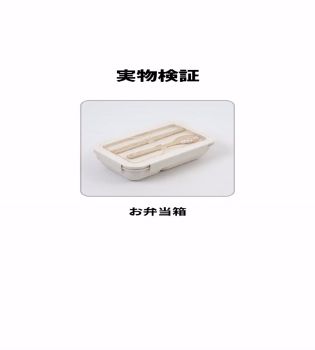 実物検証
