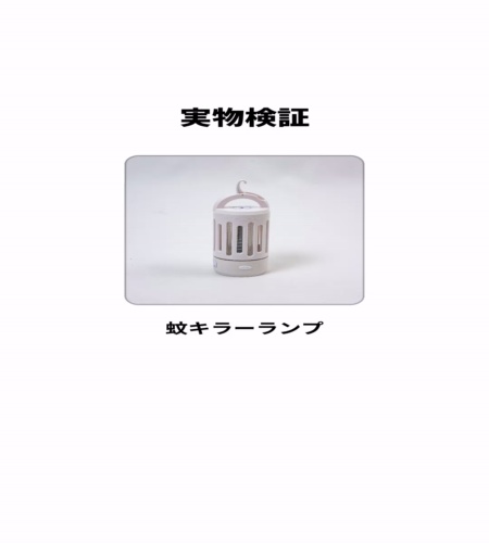実物検証