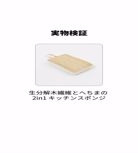 実物検証