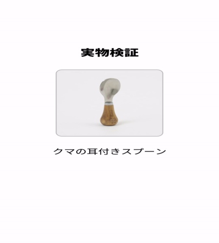 実物検証