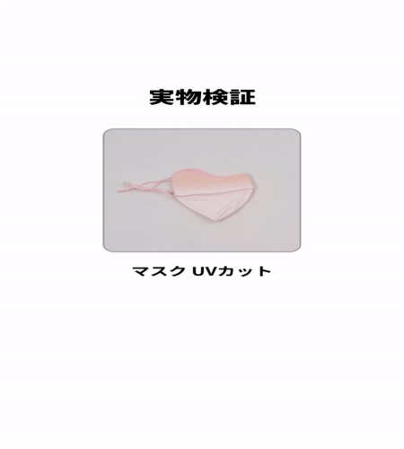 実物検証