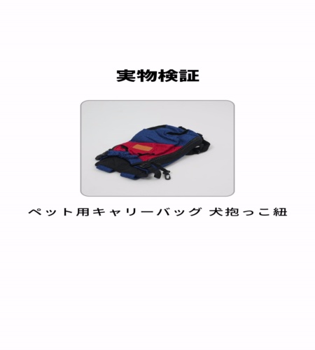 実物検証