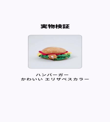 実物検証