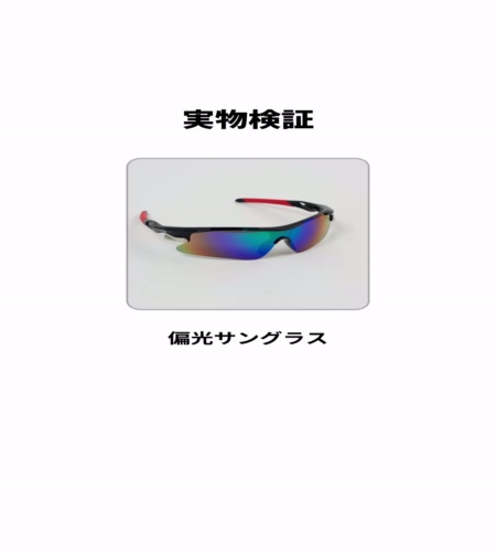 実物検証