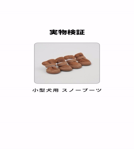 実物検証